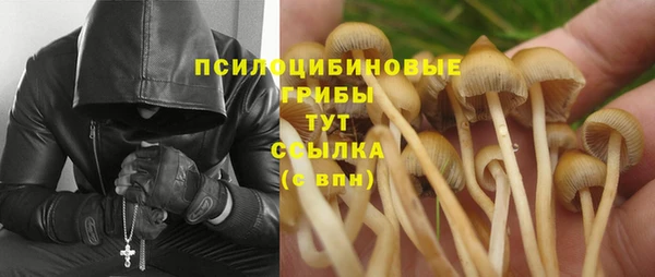 мяу мяу мука Каменск-Шахтинский