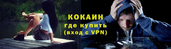 сатива Киреевск